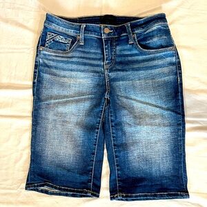 Buckle Black Fit No. 53 Bermuda Stretch Short 28” Waist